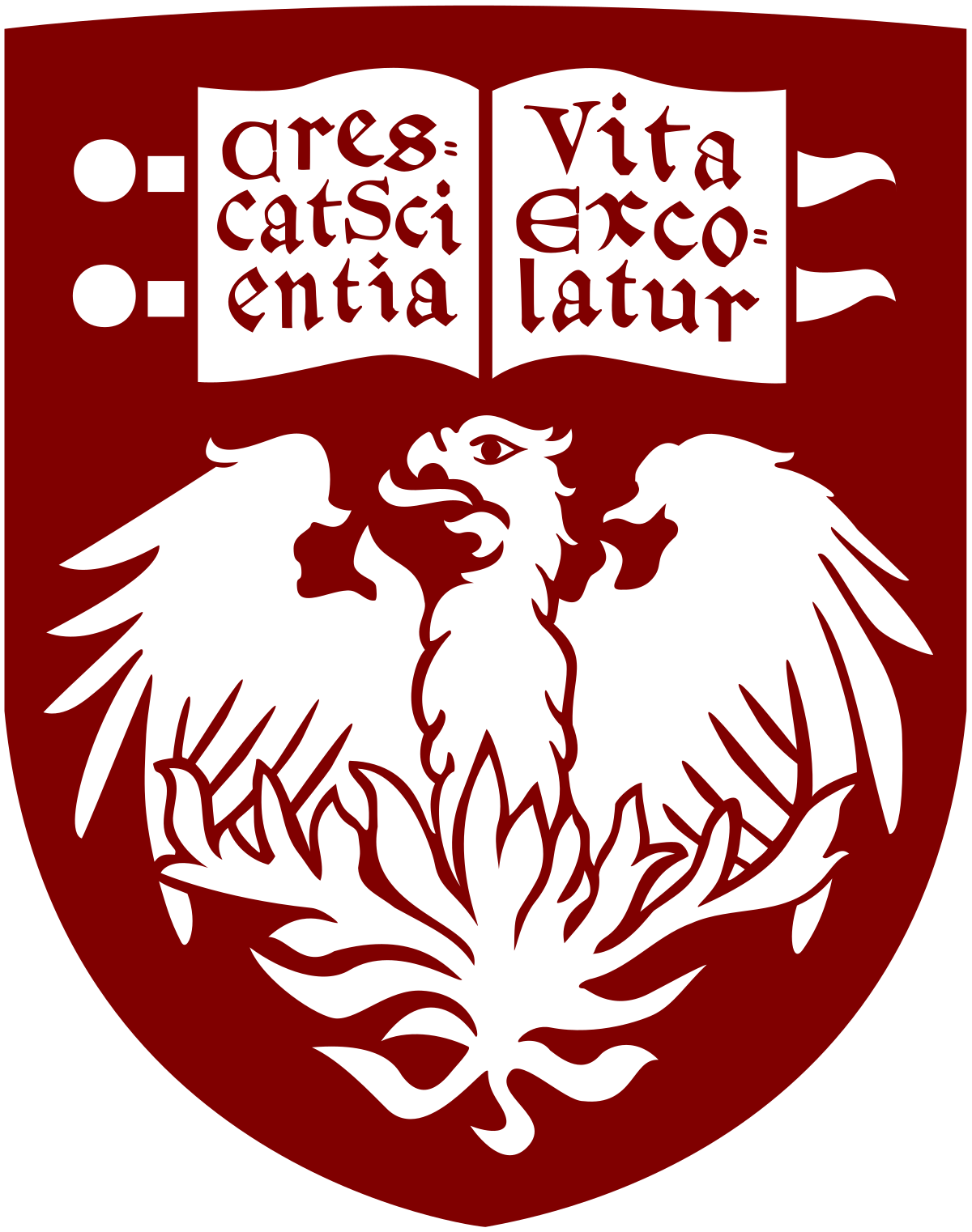 UChicago Argonne LLC Logo